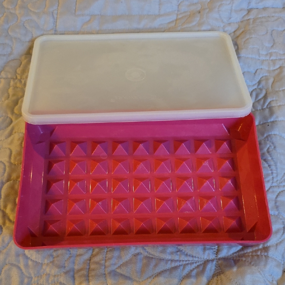 Tupperware Hotdog, Bacon, And Deli Meat Keeper
